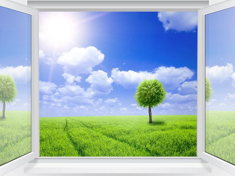 landscape through windows - Andersons New Carpet Design in Fridley